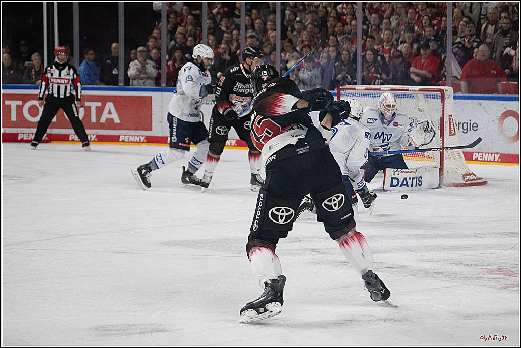 PENNY DEL 1; Kölner Haie - Adler Mannheim; Köln, 25.11.2025