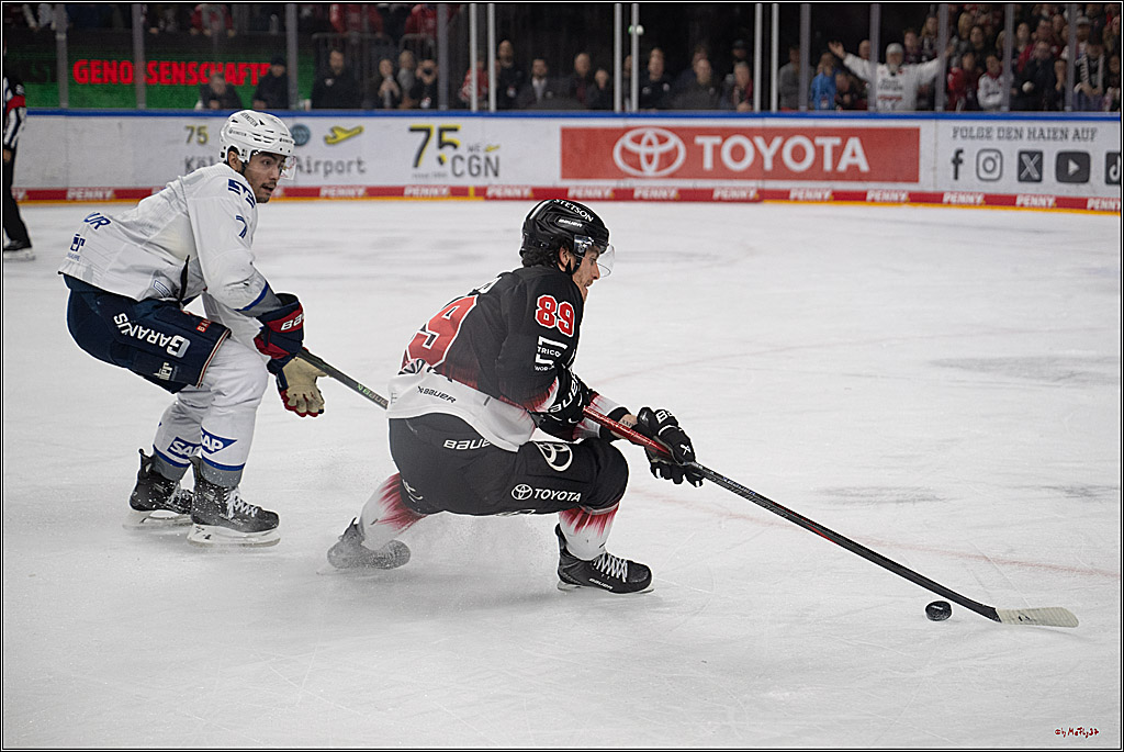 PENNY DEL 1; Kölner Haie - Adler Mannheim; Köln, 25.11.2025