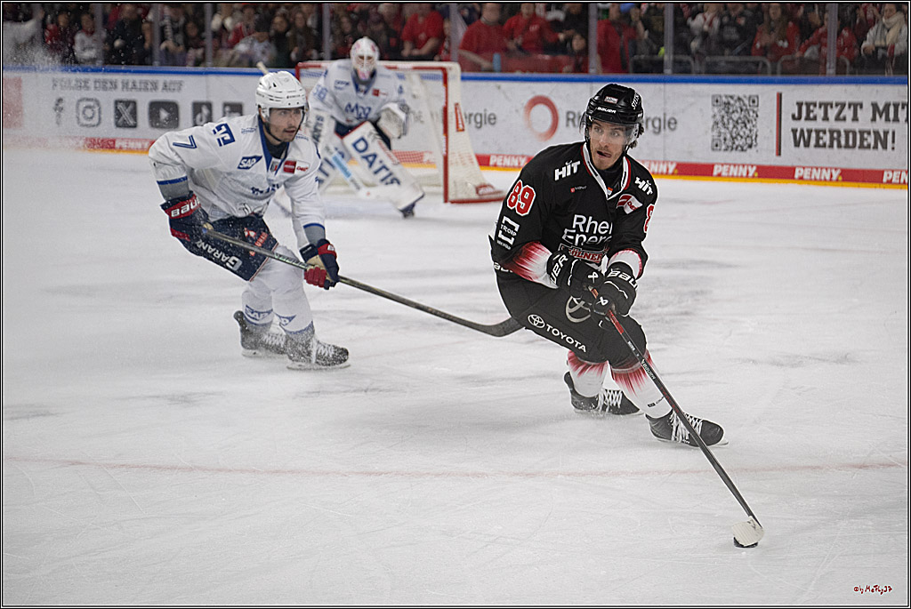 PENNY DEL 1; Kölner Haie - Adler Mannheim; Köln, 25.11.2025