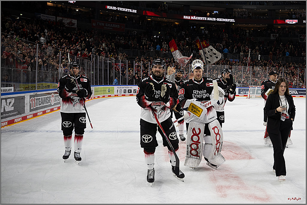 PENNY DEL 1; Kölner Haie - Adler Mannheim; Köln, 25.11.2025