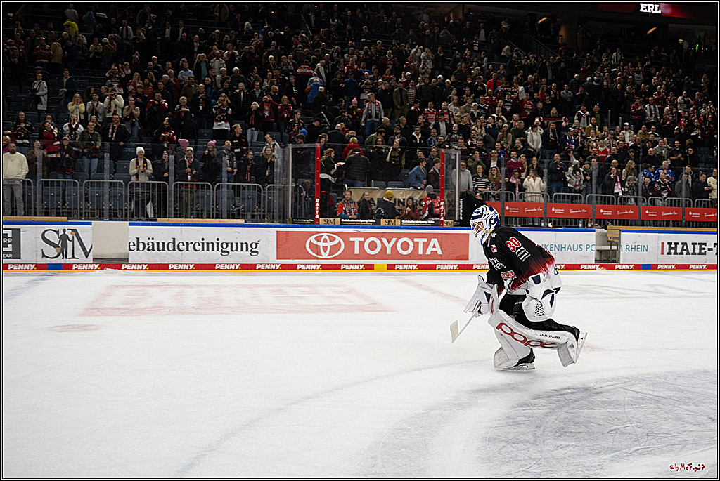 PENNY DEL 1; Kölner Haie - Adler Mannheim; Köln, 25.11.2025