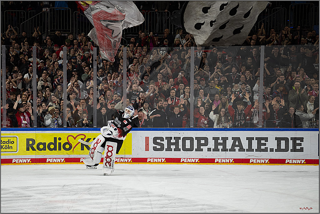PENNY DEL 1; Kölner Haie - Adler Mannheim; Köln, 25.11.2025