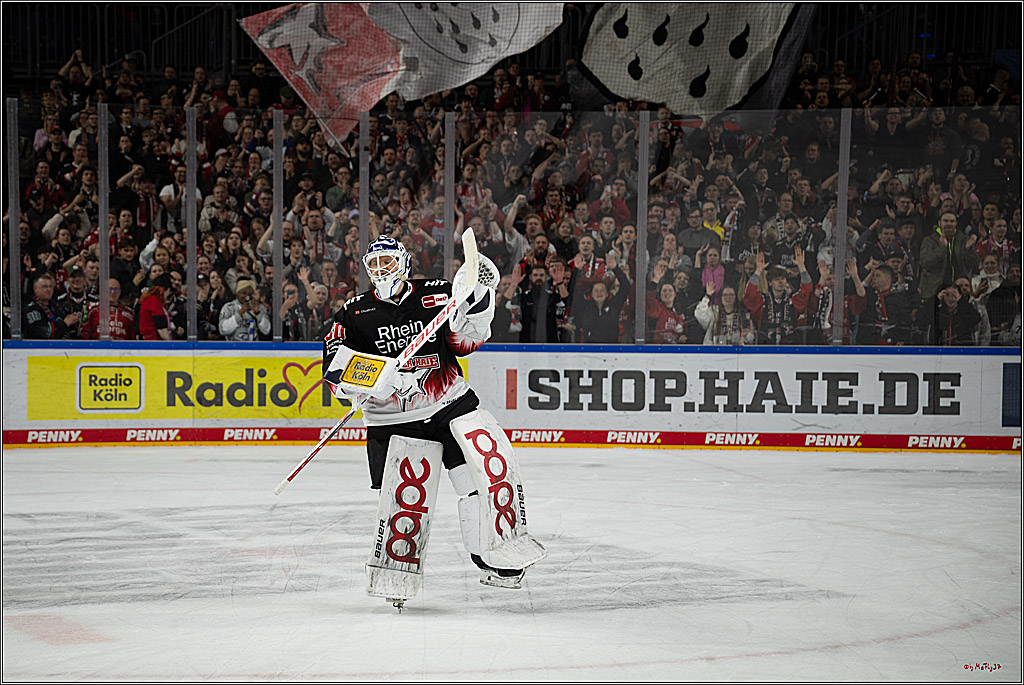 PENNY DEL 1; Kölner Haie - Adler Mannheim; Köln, 25.11.2025