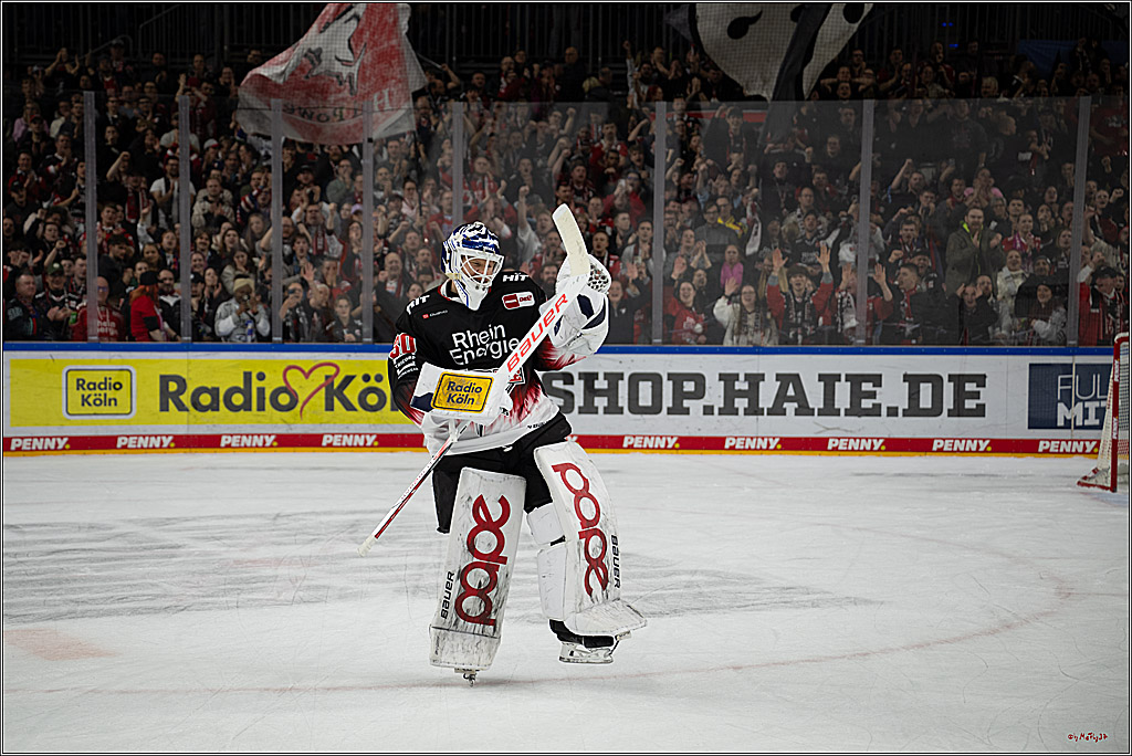 PENNY DEL 1; Kölner Haie - Adler Mannheim; Köln, 25.11.2025