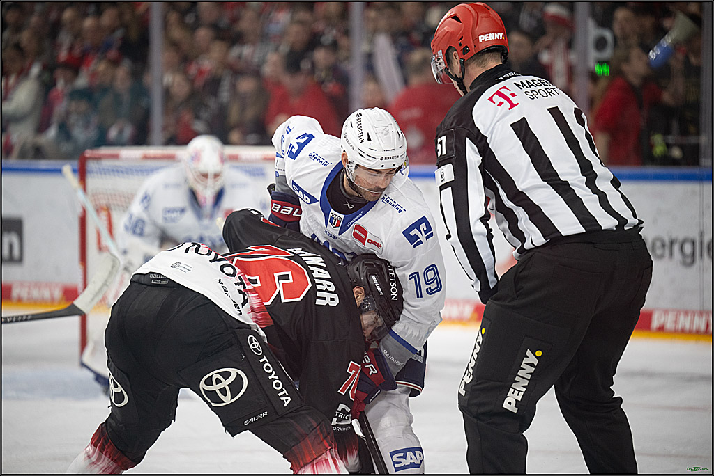 PENNY DEL 1; Kölner Haie - Adler Mannheim; Köln, 25.11.2025