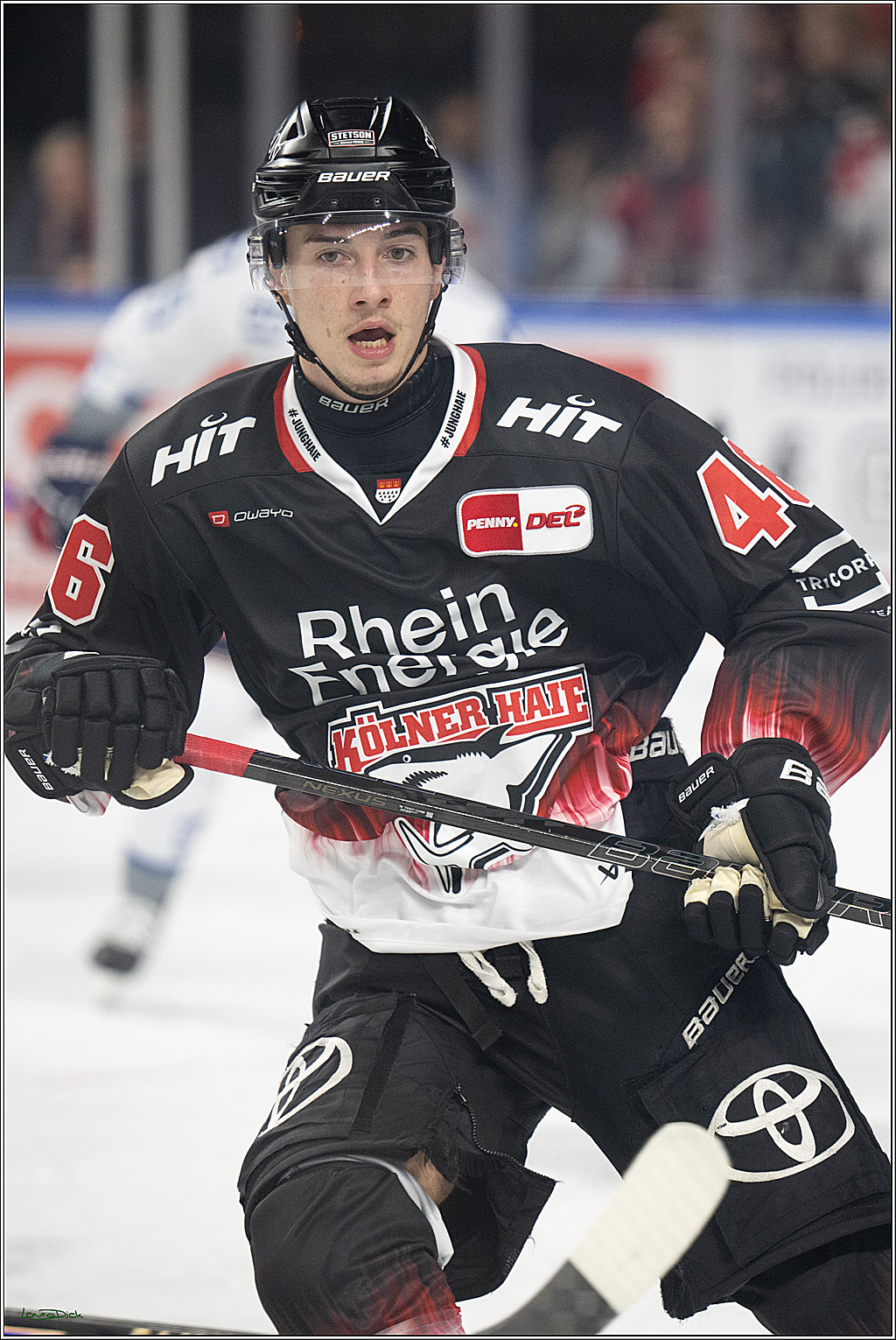 PENNY DEL 1; Kölner Haie - Adler Mannheim; Köln, 25.11.2025