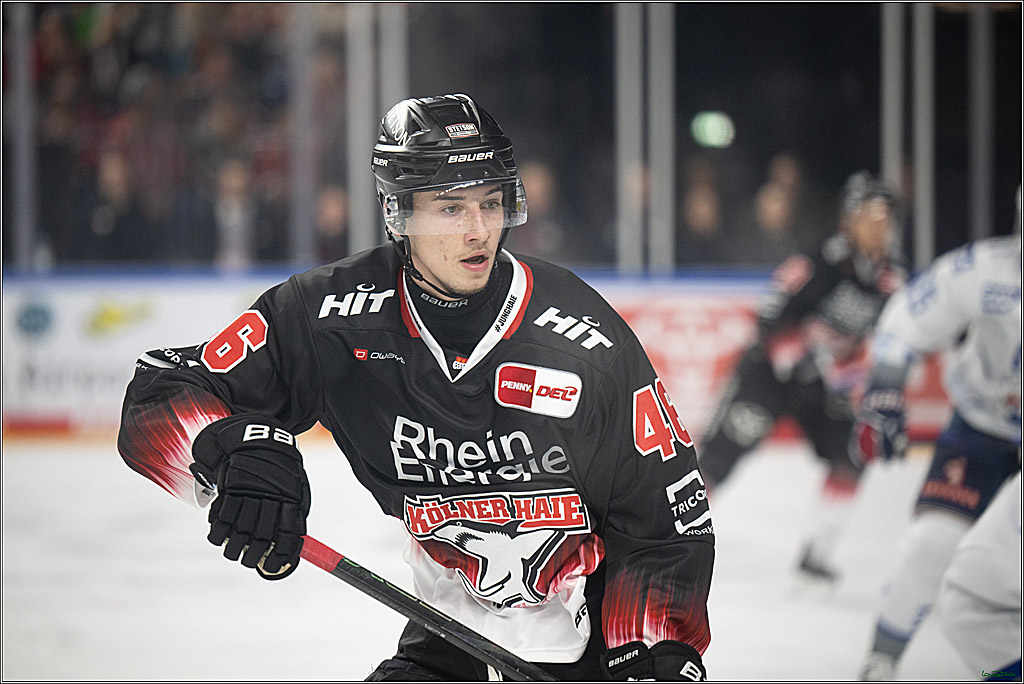 PENNY DEL 1; Kölner Haie - Adler Mannheim; Köln, 25.11.2025