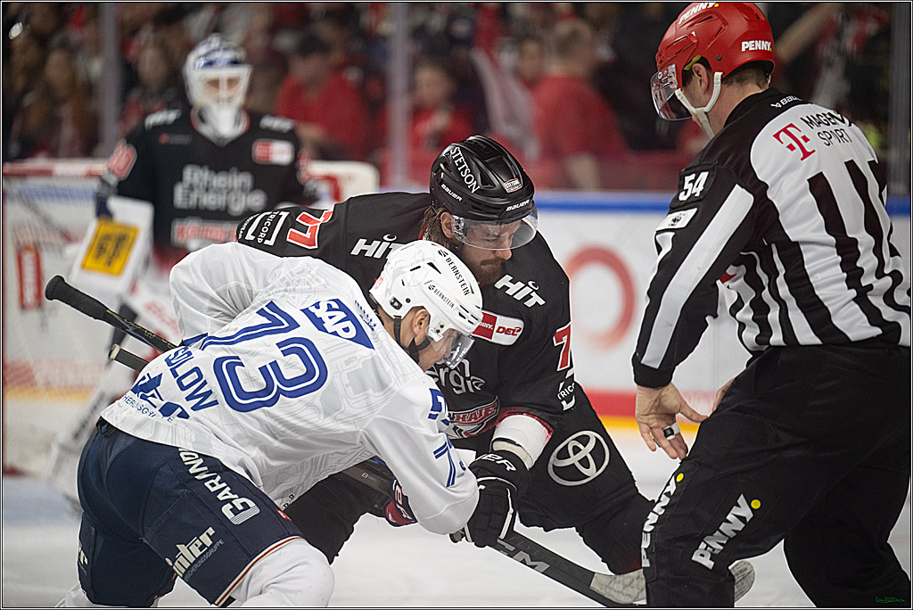 PENNY DEL 1; Kölner Haie - Adler Mannheim; Köln, 25.11.2025