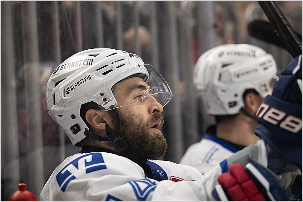 PENNY DEL 1; Kölner Haie - Adler Mannheim; Köln, 25.11.2025