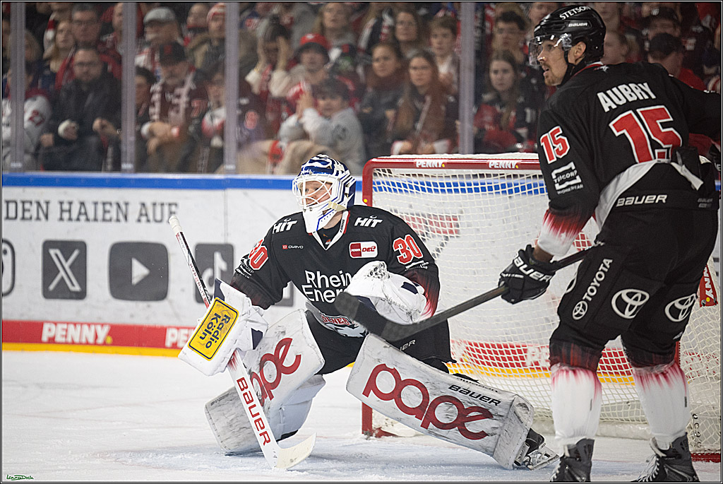 PENNY DEL 1; Kölner Haie - Adler Mannheim; Köln, 25.11.2025