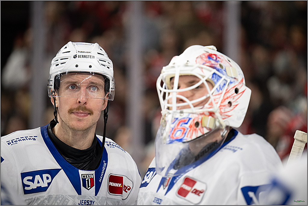 PENNY DEL 1; Kölner Haie - Adler Mannheim; Köln, 25.11.2025