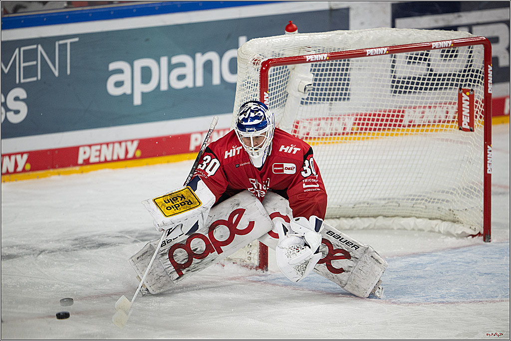 PENNY DEL 1; Kölner Haie - Nürnberg Ice Tigers; Köln, 05.12.2025