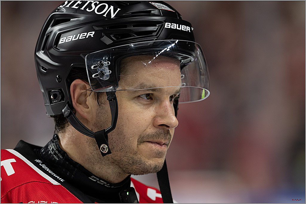 PENNY DEL 1; Kölner Haie - Nürnberg Ice Tigers; Köln, 05.12.2025