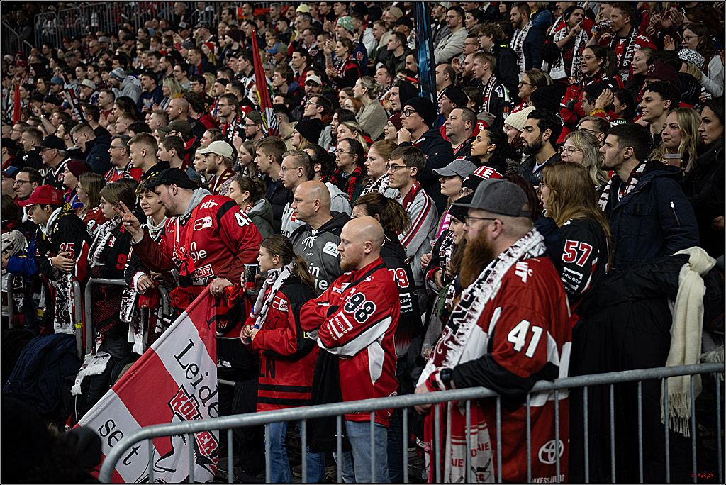 PENNY DEL 1; Kölner Haie - Nürnberg Ice Tigers; Köln, 05.12.2025