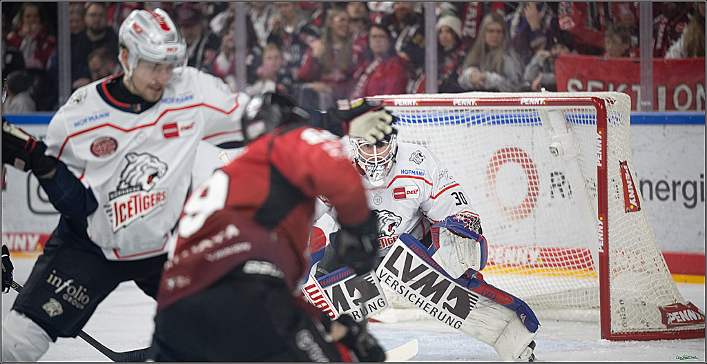 PENNY DEL; Kölner Haie-Nürnberg Ice Tigers; Köln, 05.12.2025