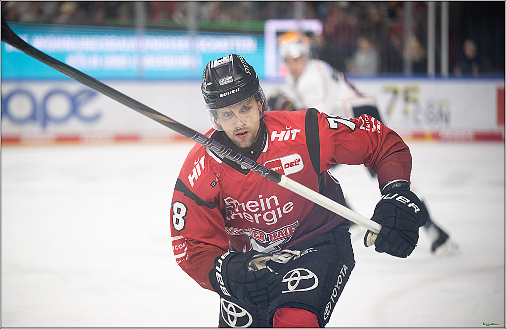 PENNY DEL; Kölner Haie-Nürnberg Ice Tigers; Köln, 05.12.2025