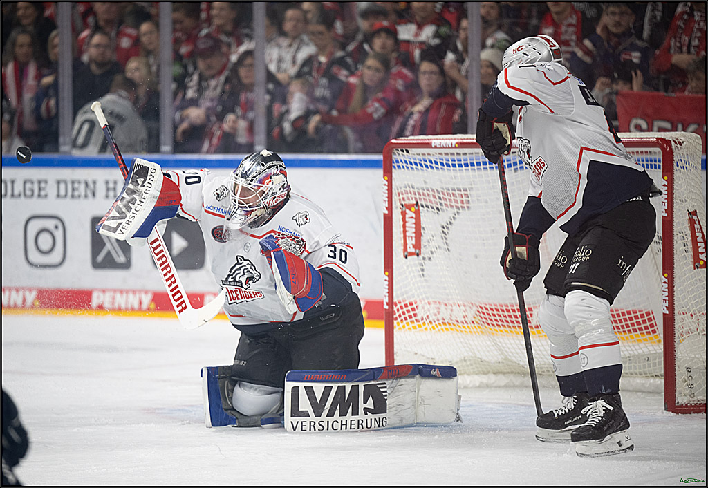 PENNY DEL; Kölner Haie-Nürnberg Ice Tigers; Köln, 05.12.2025