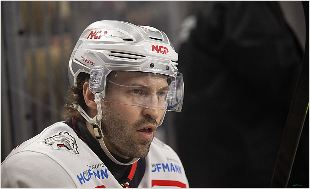 PENNY DEL; Kölner Haie-Nürnberg Ice Tigers; Köln, 05.12.2025