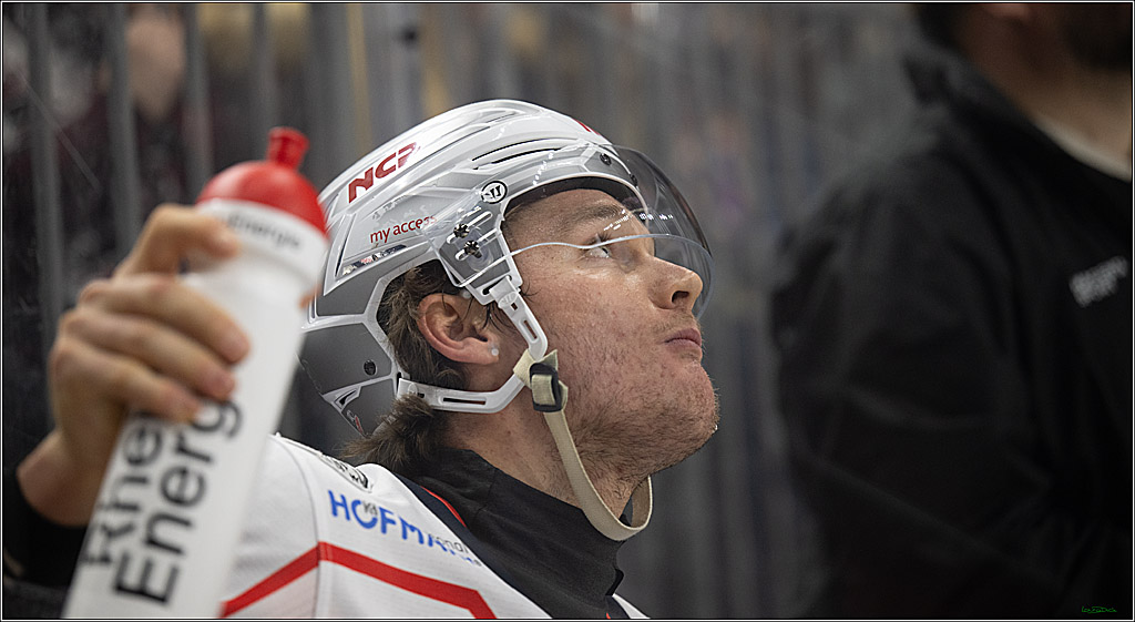 PENNY DEL; Kölner Haie-Nürnberg Ice Tigers; Köln, 05.12.2025