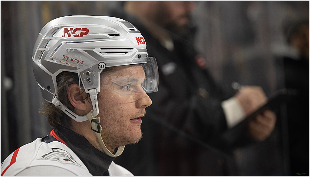 PENNY DEL; Kölner Haie-Nürnberg Ice Tigers; Köln, 05.12.2025