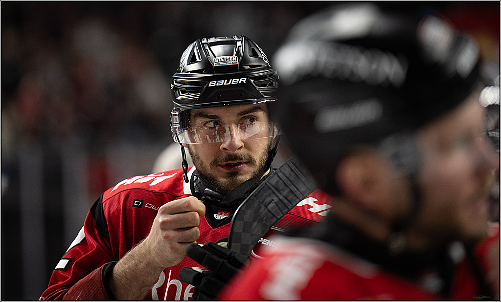 PENNY DEL; Kölner Haie-Nürnberg Ice Tigers; Köln, 05.12.2025