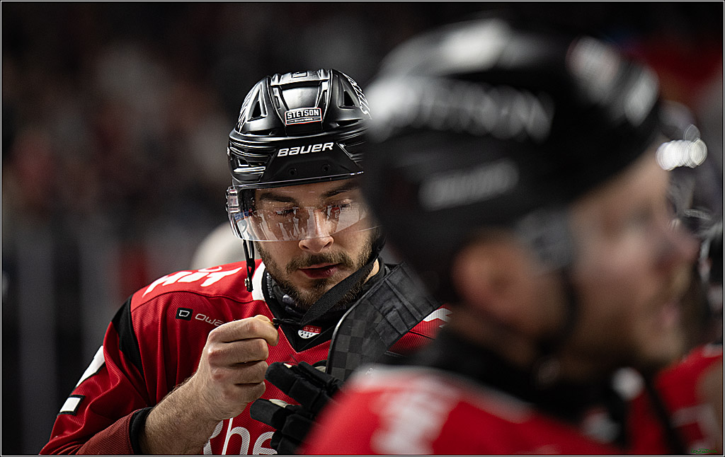 PENNY DEL; Kölner Haie-Nürnberg Ice Tigers; Köln, 05.12.2025