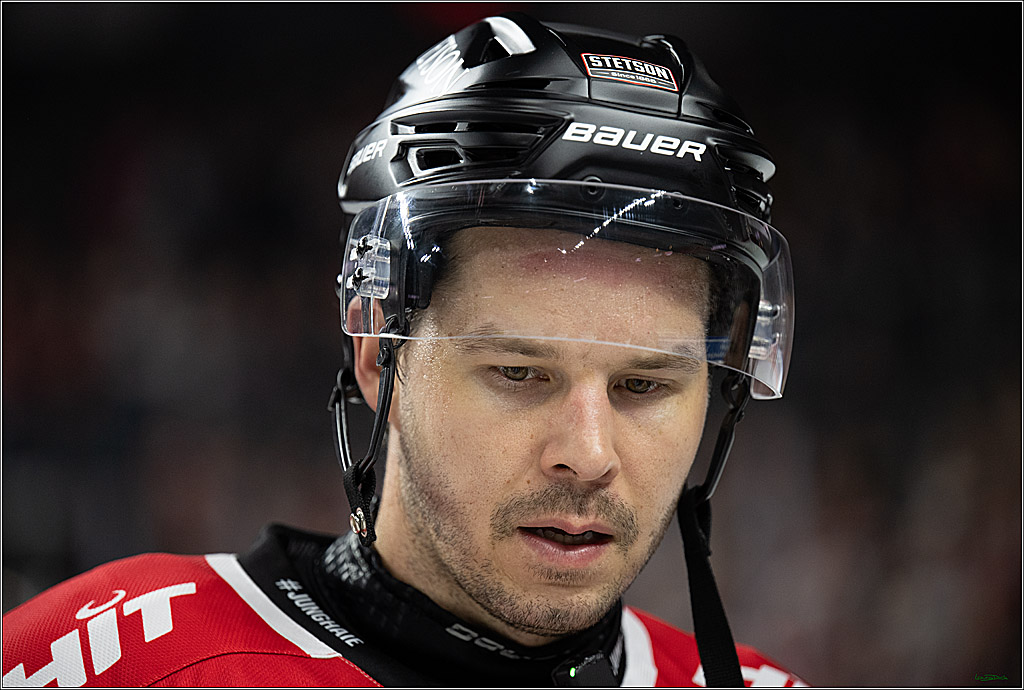 PENNY DEL; Kölner Haie-Nürnberg Ice Tigers; Köln, 05.12.2025