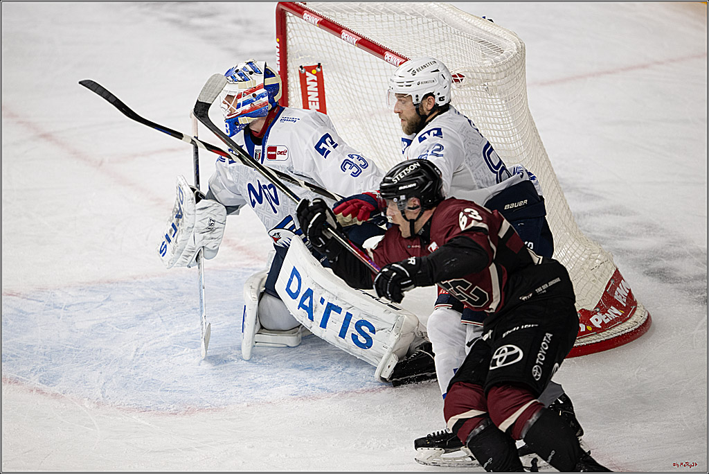 PENNY DEL 1; Kölner Haie - Adler Mannheim; Köln, 14.12.2025