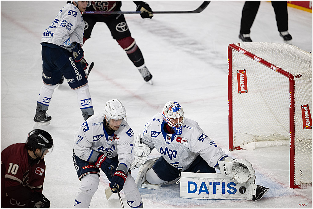 PENNY DEL 1; Kölner Haie - Adler Mannheim; Köln, 14.12.2025