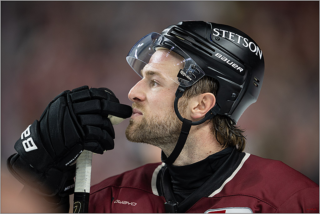 PENNY DEL 1; Kölner Haie - Adler Mannheim; Köln, 14.12.2025
