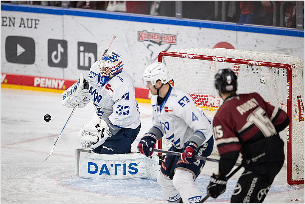 PENNY DEL 1; Kölner Haie - Adler Mannheim; Köln, 14.12.2025
