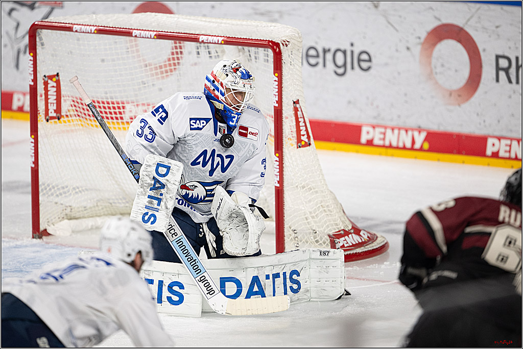 PENNY DEL 1; Kölner Haie - Adler Mannheim; Köln, 14.12.2025