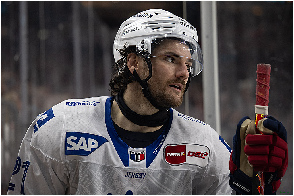 PENNY DEL; Kölner Haie-Adler Mannheim; Köln, 14.12.2025