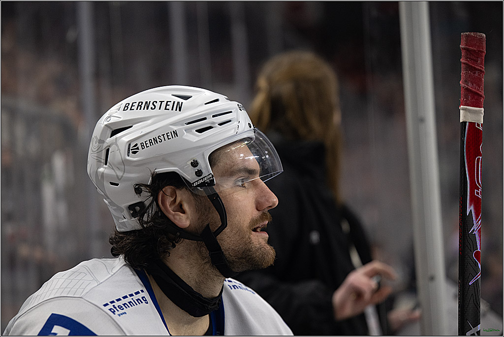 PENNY DEL; Kölner Haie-Adler Mannheim; Köln, 14.12.2025