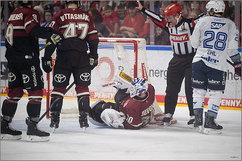 PENNY DEL; Kölner Haie-Adler Mannheim; Köln, 14.12.2025