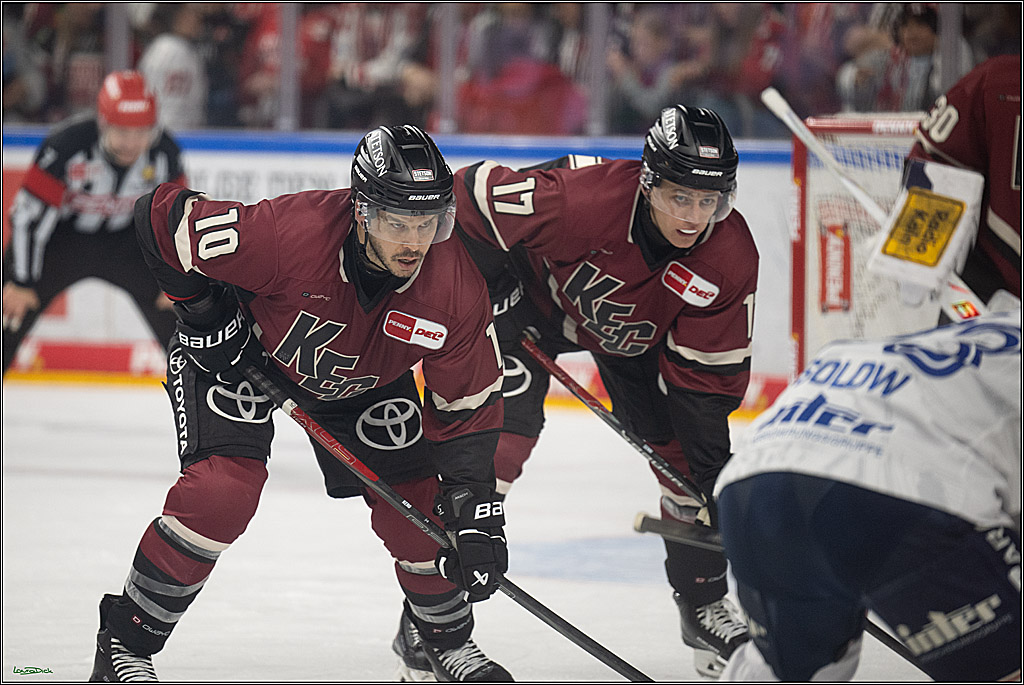 PENNY DEL; Kölner Haie-Adler Mannheim; Köln, 14.12.2025