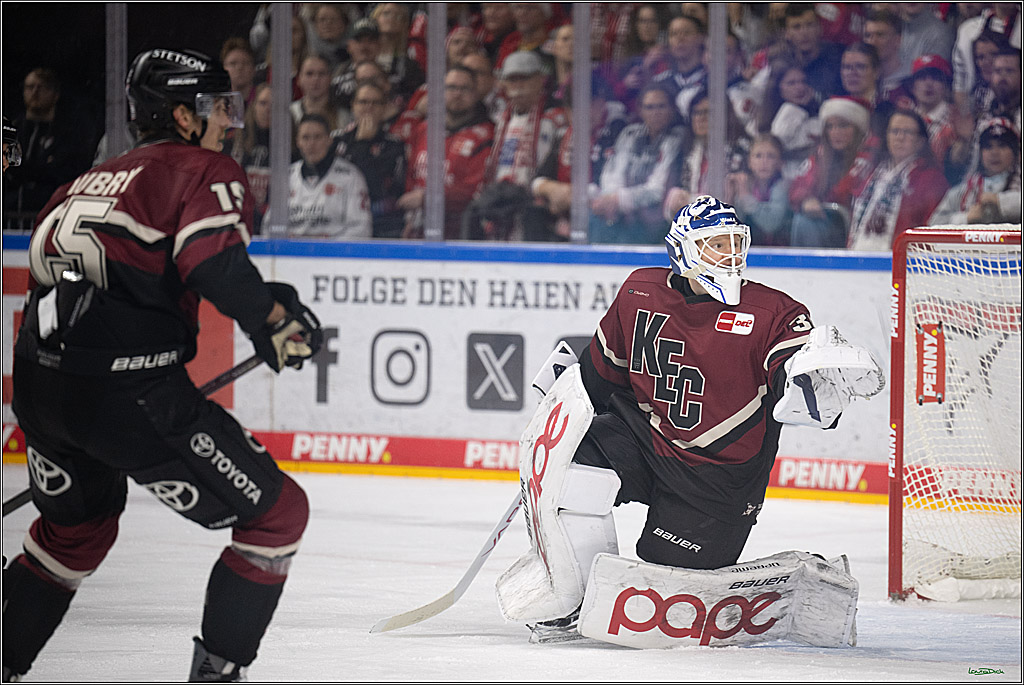 PENNY DEL; Kölner Haie-Adler Mannheim; Köln, 14.12.2025