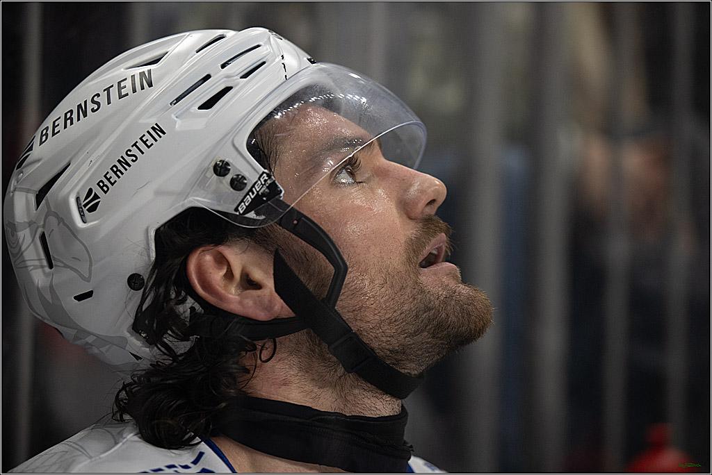 PENNY DEL; Kölner Haie-Adler Mannheim; Köln, 14.12.2025