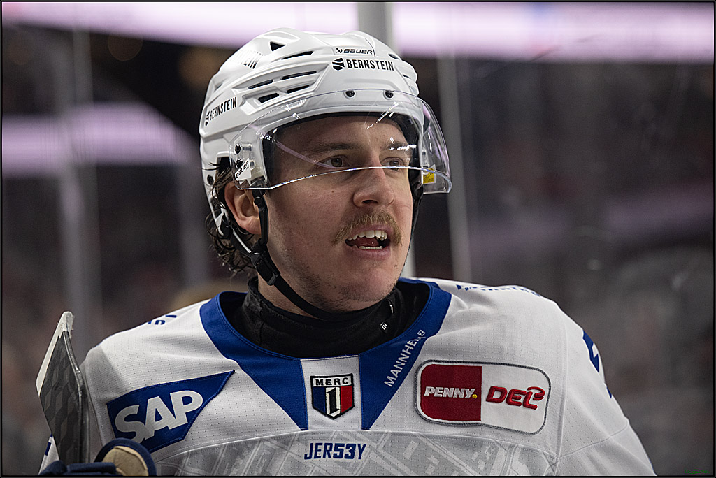 PENNY DEL; Kölner Haie-Adler Mannheim; Köln, 14.12.2025