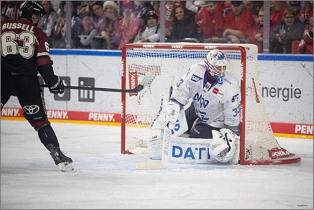 PENNY DEL; Kölner Haie-Adler Mannheim; Köln, 14.12.2025