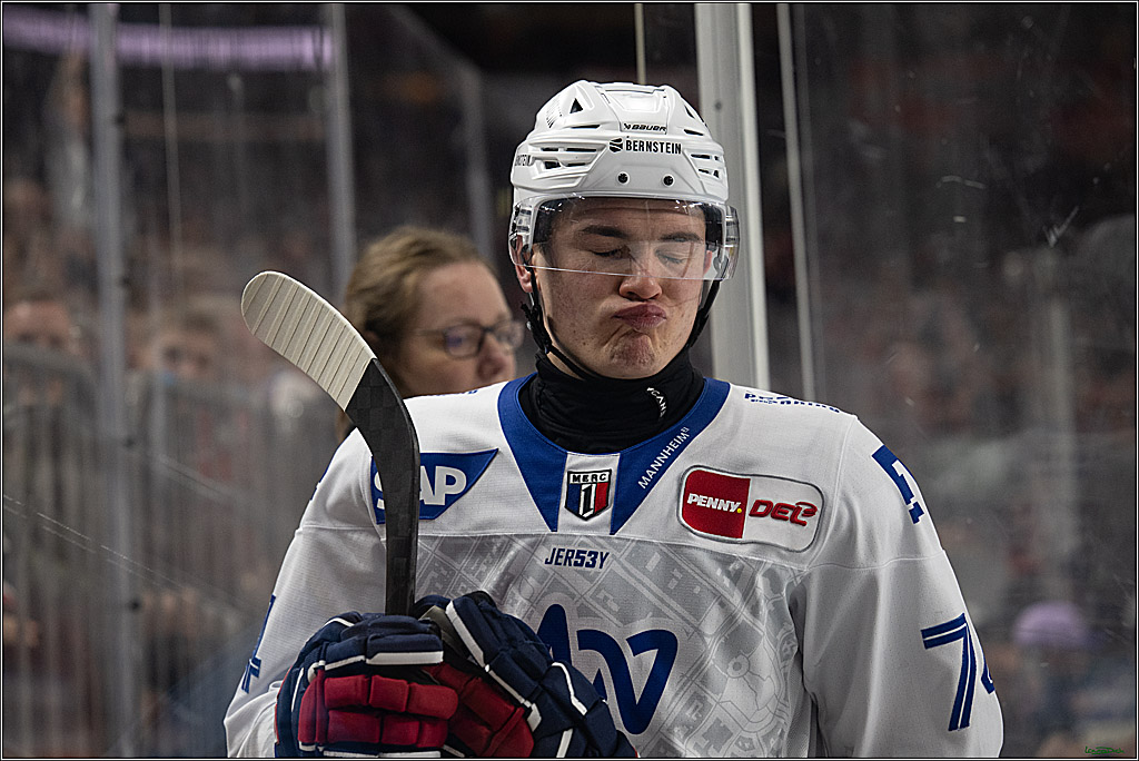PENNY DEL; Kölner Haie-Adler Mannheim; Köln, 14.12.2025