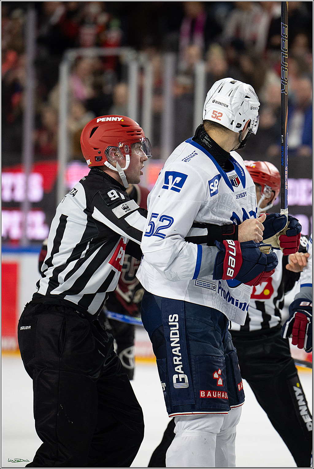 PENNY DEL; Kölner Haie-Adler Mannheim; Köln, 14.12.2025