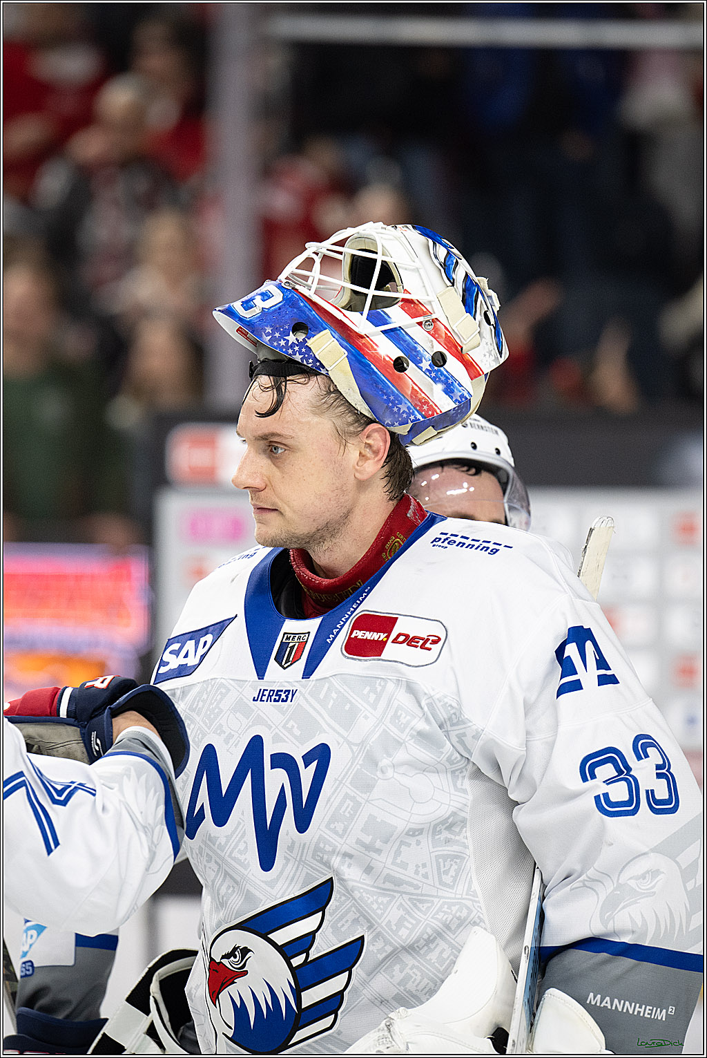 PENNY DEL; Kölner Haie-Adler Mannheim; Köln, 14.12.2025