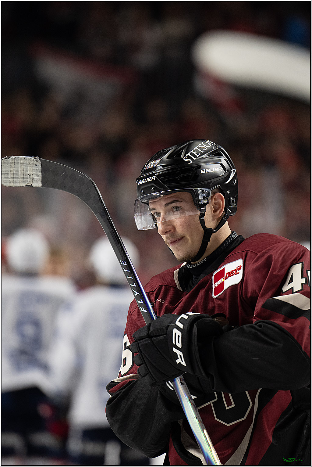 PENNY DEL; Kölner Haie-Adler Mannheim; Köln, 14.12.2025