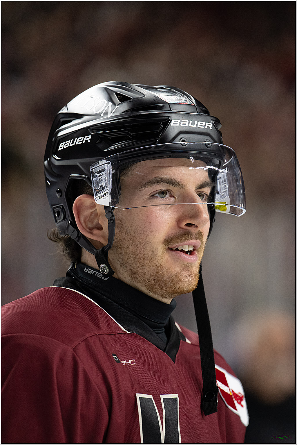 PENNY DEL; Kölner Haie-Adler Mannheim; Köln, 14.12.2025