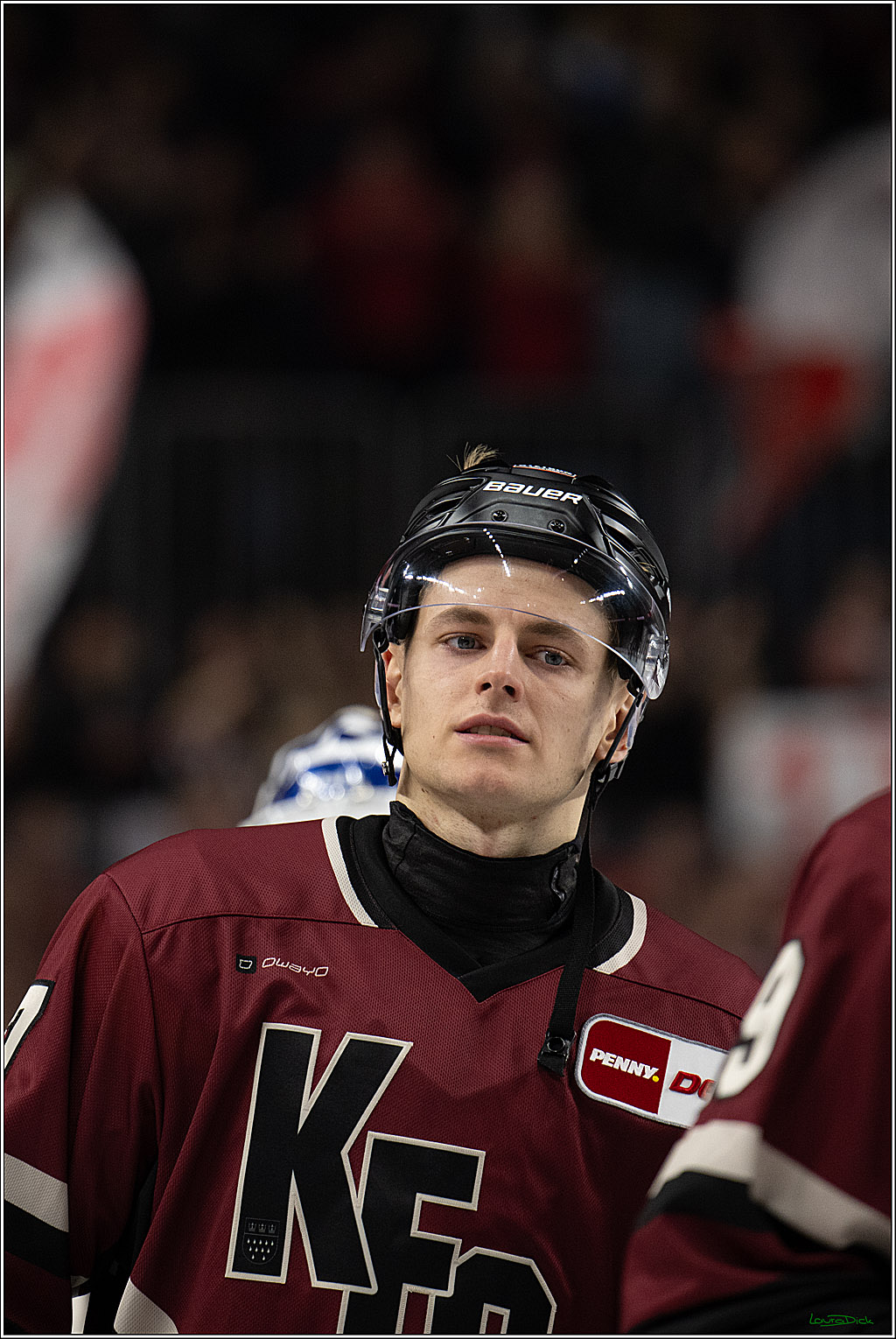 PENNY DEL; Kölner Haie-Adler Mannheim; Köln, 14.12.2025