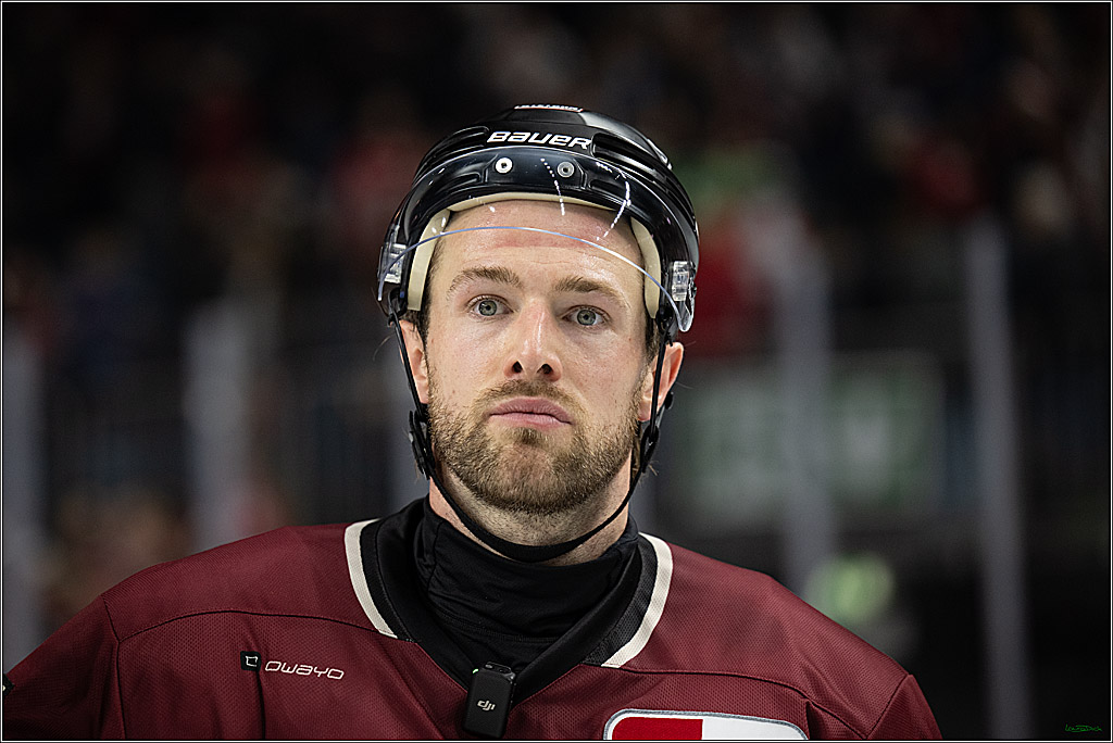PENNY DEL; Kölner Haie-Adler Mannheim; Köln, 14.12.2025