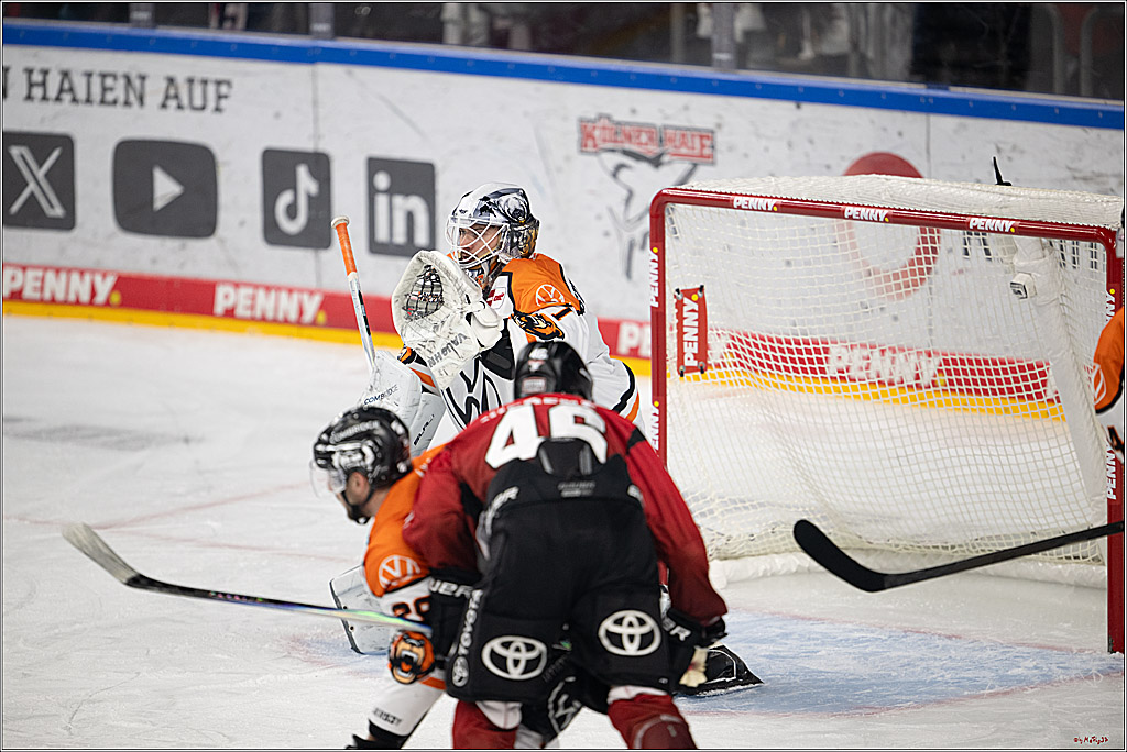 PENNY DEL 1; Kölner Haie - Grizzly Wolfsburg; Köln, 18.12.2025