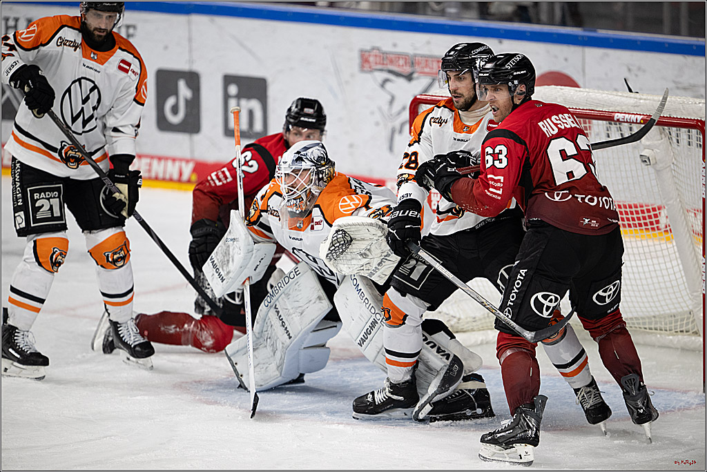 PENNY DEL; Kölner Haie - Grizzly Wolfsburg; Köln, 18.12.2025