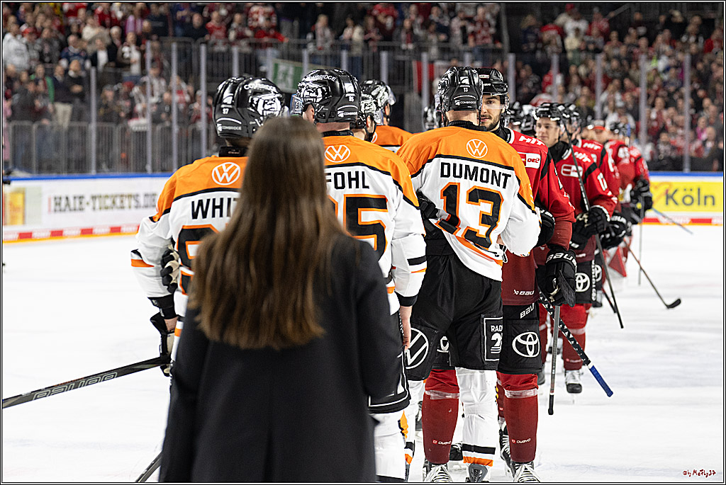 PENNY DEL; Kölner Haie - Grizzly Wolfsburg; Köln, 18.12.2025
